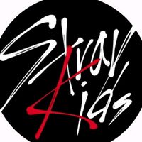 stray.kids9081