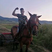 user84107310314084