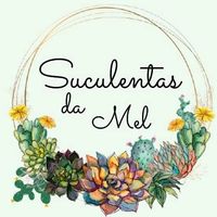 suculentasdamel1