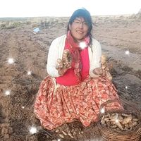 vicenta6267