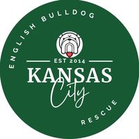 kcbulldogrescue