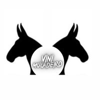 vini.muladeiro