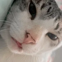 original sound - mingaudamamae