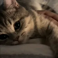 original sound - luboblu.32