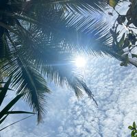 เสียงต้นฉบับ - ลงไปเรื่อยๆ 🪐🅰️