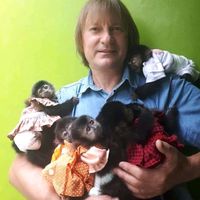 vilsonmacacopet
