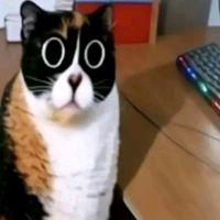 оригинальный звук