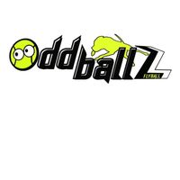 oddballz.flyball
