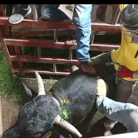 original sound - ninoguerrero.12