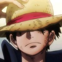 one.piece.fan53