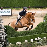 eglequestrian