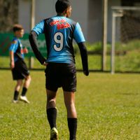 sistematico7