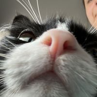 pipi.hazel