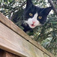 original sound - 🎵