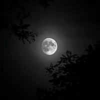 original sound - .61a