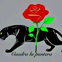 cuadralapantera