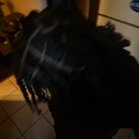 thisonedelawareuser._