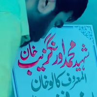 khani_tiger_555zk