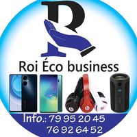 roiecobusinessinter