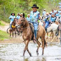 manoel_do_burro
