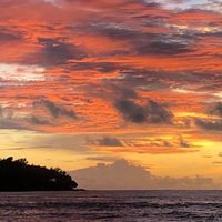 scientist x scientist