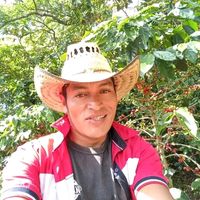 darwin.sanchez.sa4