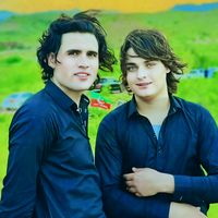 hafiiz198ladla