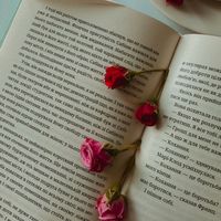 online_booksss