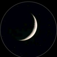 mayrai14_7