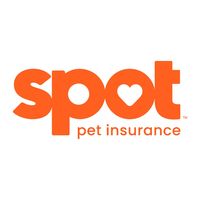 getspotcovered