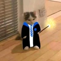 harrypotter_15q