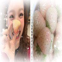 nay_tips1