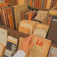 libraryofseli