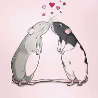 karinastilinskihale6932