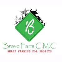 bravefarms
