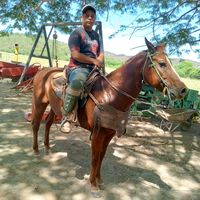 sonido original