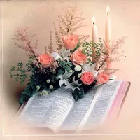 original sound - 318shene.l