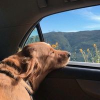 I am the love of my life