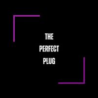 the_perfect_plug