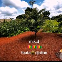momodoukandediallo0