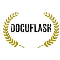 docuflash