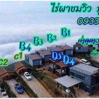 anan_saethao