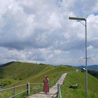 suara asli - novanlestari8583