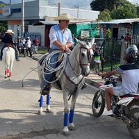 evans_moncada