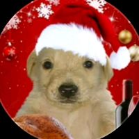 llega_navidad
