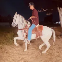 original sound - capuliness