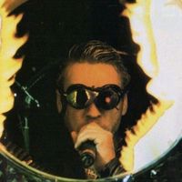 bitterdove