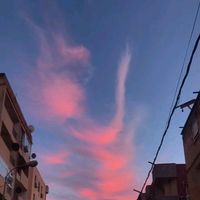 son original