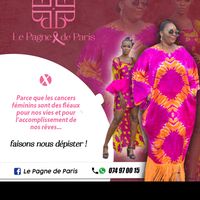 lepagnedeparis