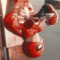 sunsetspidey